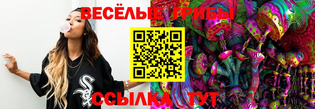Галлюциногенные грибы GOLDEN TEACHER  Псилоцибиновые грибы GOLDEN TEACHER  Вход с VPN  Тольятти 