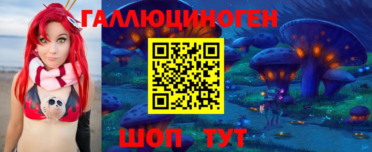 Псилоцибиновые грибы Cubensis Тольятти