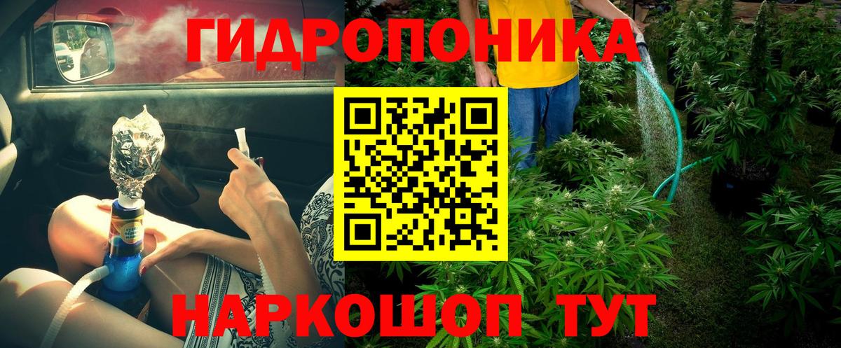 Конопля план  Вход с VPN  Тольятти  Шишки марихуана сатива 
